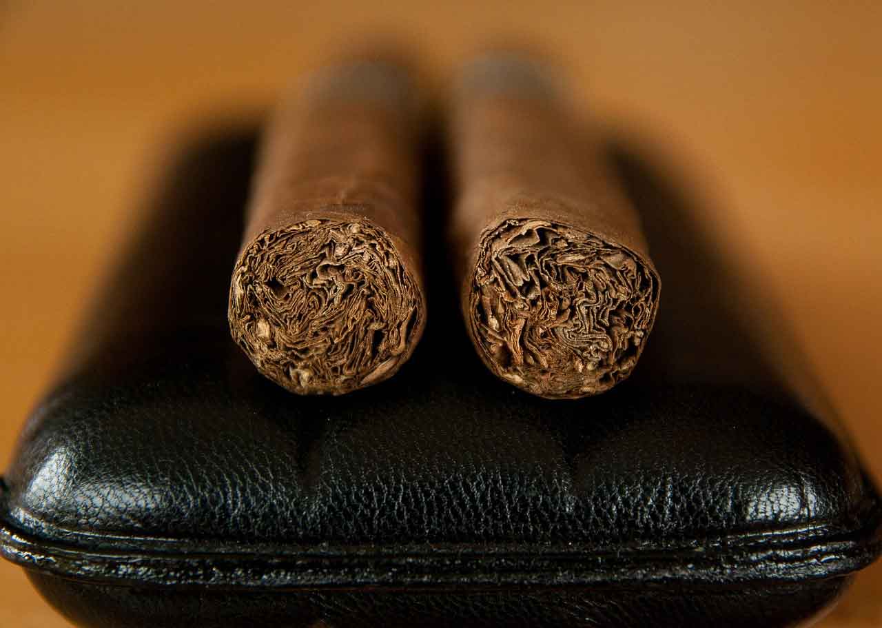 Deux cigares de face posés sur un étui noir en cuir